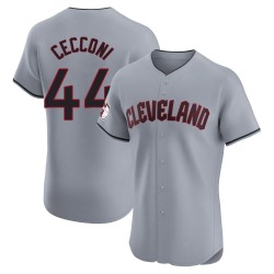 Slade Cecconi Cleveland Guardians Men's Elite Road Jersey - Gray